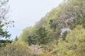 「山の上にビーチ」が出現！  ロープウェイを賢く下山に使う静かでお手軽な穴場ルート“羅漢寺山＆白砂山”への画像007