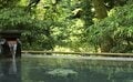沢水を使った水風呂＆森に包まれる外気浴が極上！  箱根湯本の里山温泉「箱根湯寮」【山帰り、今日はどこでととのう？ vol.9】の画像001