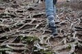 【首都圏近郊ハイキング】5月でもまだ花見ができる山「西丹沢・檜洞丸」への画像016