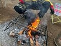 初心者でも「道具ゼロ」から総額4500円で楽しめる豪快バーベキュー料理「ビア缶チキン」！  調理の一部始終と「予想外すぎる」衝撃結果の画像005