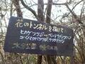 ゴールデンウィークには「ツツジ」が彩る、丹波「向山連山」 ユニーク岩たどる低山縦走＆「黒井城跡」見下す絶景レポート【兵庫県丹波市】の画像020