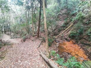 嵐・松本潤『どうする家康』徳川家康も信仰していた聖徳太子ゆかりの神秘！「兵庫県・宝塚」岩の割れ目から噴き出す「太子の冷泉」