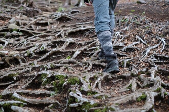 【首都圏近郊ハイキング】5月でもまだ花見ができる山「西丹沢・檜洞丸」への画像016