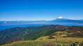 富士山・北岳・間ノ岳「標高トップ3」を一望する低山ハイキング！  達磨山ほか「伊豆山稜線歩道」冬晴れ絶景レポートの画像002
