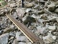 猛暑は去ったけど… 実は難しい「秋の登山」天候＆コンディション！  予想外の「暑かった＆寒かった」ほか「備えたいこと」5選【実体験レポ】の画像007