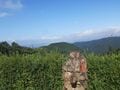 夏の「高尾山〜小仏城山」縦走の見どころは「ヤマユリ」！  美しい大輪の花・複数まとまって咲く様子に感動！「登山レポ」の画像006