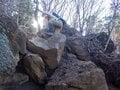富士山見るための「特等席」！  標高1504mの静岡の百山・越前岳「往復4時間半」トレッキングレポートの画像004