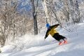 【パウダー滑走が楽しい！】新雪を狙うならココ！  天然雪が豊富なゲレンデ7選  2025年の画像005