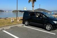 ペット連れも利用しやすい車中泊施設「RVパーク」 大型犬と一緒でも快適＆アクティビティも楽しめる「厳選スポット」3選！