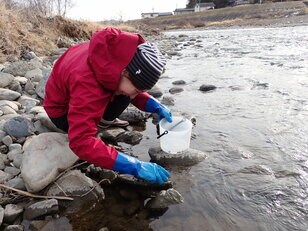 冬の風物詩『伝統の郷土食・昆虫食』江戸時代から続く“伊那谷”のご当地グルメ「ざざ虫」を、獲って食べてみた！【2022年1月・長野県伊那市】
