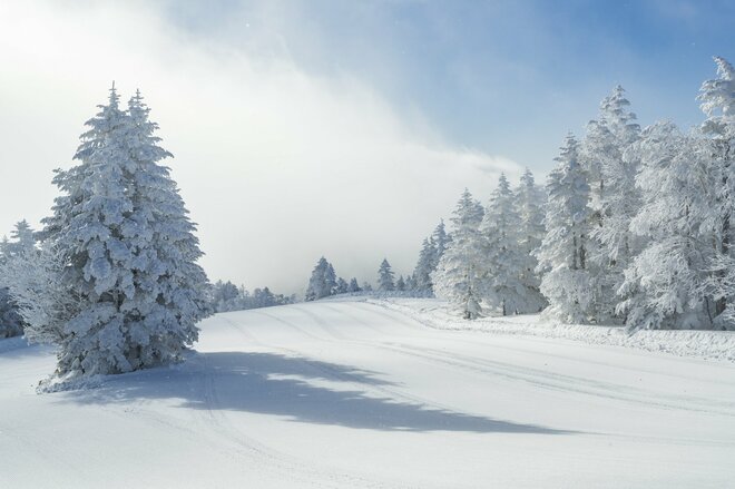 「どっち向いても・どこ撮っても絶景かよ」志賀高原 焼額山スキー場の雪景色！ “シーズン一番” 奇跡の一日【The Day】上信越高原国立公園・長野県の画像003