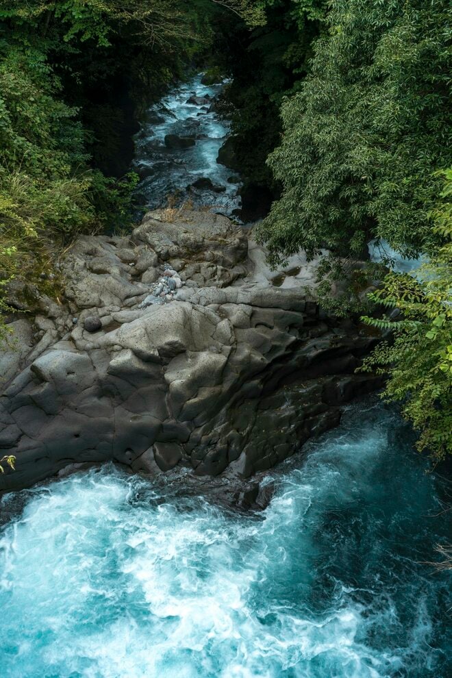 「10月に入ったけれど…… まだ渓流釣りができる自然河川」 秋の気配漂う静岡・芝川でフライフィッシング！ 美しいアマゴと銀ピカのニジマスに出会うの画像006