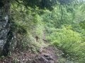 絶景の稜線！  日本百名山「武尊山」鎖場あり・7時間超ルート「武尊神社」から「剣ヶ峰山」経由で周回「登山レポ」【群馬県利根郡】の画像003