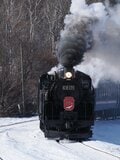 「えっ！？　汽車の窓からタンチョウが！」鉄道で楽しむ冬の旅【北海道・厳冬の釧路湿原レポート（4）SL冬の湿原号】の画像002