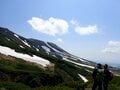 【花と温泉を楽しむ登山】日本一のチングルマ大群生地！ 「大雪山の裾合平」 2023年・北海道の画像001