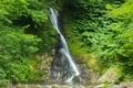 石川県の難読山「白兀山」！泉の色が変化する「三色泉」と多様な植物・生物にあふれた「新・花の百名山」に登るの画像002