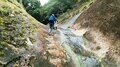 低標高で初心者にもおすすめ！  和歌山県の難読山「章魚頭婆山・嶽の森山・重畳山」の「特長と珍スポット」の画像003