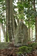 NHK大河『どうする家康』が100倍面白くなる！ 「徳川家康」父祖の地に残る「松平城」を歩く＜前編＞（奥三河・松平郷／愛知県豊田市）【家康ゆかりの山城を攻める vol.1】の画像011