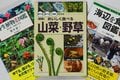 野生食材採集のルールと知識の身につけ方【無人地帯の遊び方 vol.5】の画像004