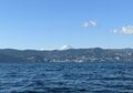 「海釣り初心者」でもこんなに釣れた！  熱海でタイ、カツオ、サバが大漁！  お味も美味しすぎ「正直感動レポート」の画像010