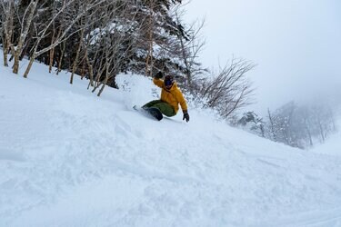 開業50周年「オグナほたかスキー場」 12月25日オープン！ 新“非圧雪