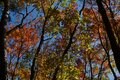 【アウトドア豆知識】いまは “標高1,000m前後” が狙い目！  人知れず「紅葉を当てるため」の3ステップの画像002