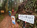 明るく輝くトレイルを歩こう！ ミツマタの花咲く焼森山と鶏足山へ【お花見ハイキング】栃木県・茨城県の画像006