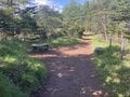絶景の「夏富士」を眺望する「三ツ峠山」！  登山口から約3時間半、山名由来の3山「開運山・御巣鷹山・木無山」めぐる「登山レポ」の画像003