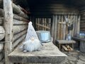 「1週間で30サウナ」ガチツアー！ サウナ好きすぎ女性ライター、フィンランドに行く「キングオブサウナ」に包まれた日の画像014