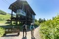 数年に一度の当たり年！ 今がピーク「花咲くコバイケイソウ」『栂池自然園』＜長野県＞の画像001