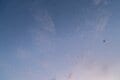 【バードウォッチング】必見！ 古都・平城宮跡の夕焼けに舞う6万羽のツバメ  “日本最大級”のねぐら入りに460人が魅了された！  奈良県｜2026年の画像007
