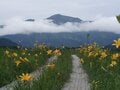 “まるっと楽しむ 尾瀬の山歩き” vol.2【群馬県 片品村】入山者数は最多！ 尾瀬の玄関口「鳩待峠」 憧れの木道歩き「尾瀬ヶ原」や高山植物の宝庫「至仏山」へアクセス良好！の画像003