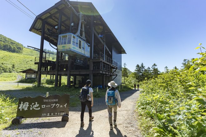 数年に一度の当たり年！ 今がピーク「花咲くコバイケイソウ」『栂池自然園』＜長野県＞の画像001
