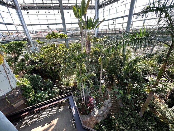 【茨城県】もう「都道府県魅力度ランキング」最下位常連なんて言わせない！？  ここを体験するだけでも茨城に行く価値アリ！  “泊まれる植物園” がコンセプトの新感覚アウトドアリゾート「ボタニカルリゾート林音（りんね）」【内覧会リポート】の画像013