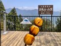 『ゆるキャン△』のメンバーも訪れた「身延山」！ 圧巻の「千本杉」参拝ハイキング＆山頂では名物団子に舌鼓！ パワースポット日帰り登山レポの画像010