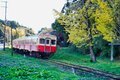 まだ間に合う！【関東の紅葉最終案内】房総・大福山と梅ヶ瀬渓谷で晩秋のんびり歩きの画像018