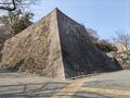 「暴れん坊将軍」徳川吉宗が暮らした和歌山城の「おもてなし忍者・動物園」と伝説「和歌山ラーメンの名店」の観光最適ルートとは？の画像002