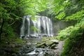 暑い日の「冷涼スポット」！  アクセスしやすい＆ファミリーでも行ける「東北の名瀑」3選【宮城県七ヶ宿町・山形県東根市・福島県猪苗代町】の画像005