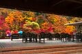 秋の渓流釣り！ 紅葉と清流のマッチングが美しい塩原温泉へ 「温泉に浸かり、“キャッチ＆リリースエリア” で紅に染まるニジマスを狙う」 【栃木県】2024年の画像001
