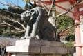 京都「紅葉の奥座敷・パワースポットめぐり」約2時間ハイキング！  源義経ゆかり「鞍馬寺」から、イベント盛りだくさん「貴船神社」錦秋レポの画像009
