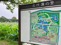 太古の眠りからの目覚め「12万株のハスの大輪が見頃」＆田んぼアートも【古代蓮の里】2023年・埼玉県行田市の画像001