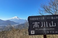 【6月に歩きたい首都圏近郊ハイキングルート】梅雨時の覚えておきたい新宿から1時間半の名低山「高川山」