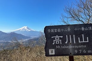 【6月に歩きたい首都圏近郊ハイキングルート】梅雨時の覚えておきたい新宿から1時間半の名低山「高川山」