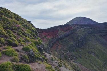 樹林帯の先から荒々しく景色が一変！ 神話の山「高千穂峰」 往復約3