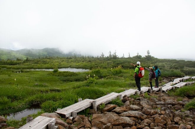 【山形県米沢市・天元台高原】吾妻連峰の百名山「西吾妻山」は ”天空のお花の宝庫”　入山には「天元台スキー場」のロープウェイ利用が最適！の画像005