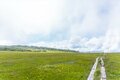 【6月から見ごろ】東北「花の絶景」名山5座！ ハクサンイチゲの花畑、チングルマ群生に固有種「ミチノクコザクラ」も！の画像003