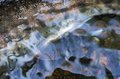 2021年初秋！ 軽井沢でひと味違うリゾートフィッシング【アウトドア・釣り】の画像006