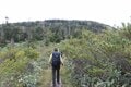 首都圏からアクセス良好「鳩待峠」から “天空の楽園” アヤメ平、尾瀬ヶ原を経て「至仏山」 周回ルートで尾瀬を1泊2日で満喫【群馬県片品村】の画像001