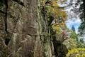 秋を彩る鮮やかな紅葉で人気！  シーズン中は20万人が訪れる「御在所岳」 裏登山道コースで往復「11月上旬・登山レポ」の画像007