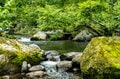 【渓流釣り】たまには道具を変えて挑戦！「楽しかった渓流ルアーフィッシング」 新潟県糸魚川市 2025年の画像005